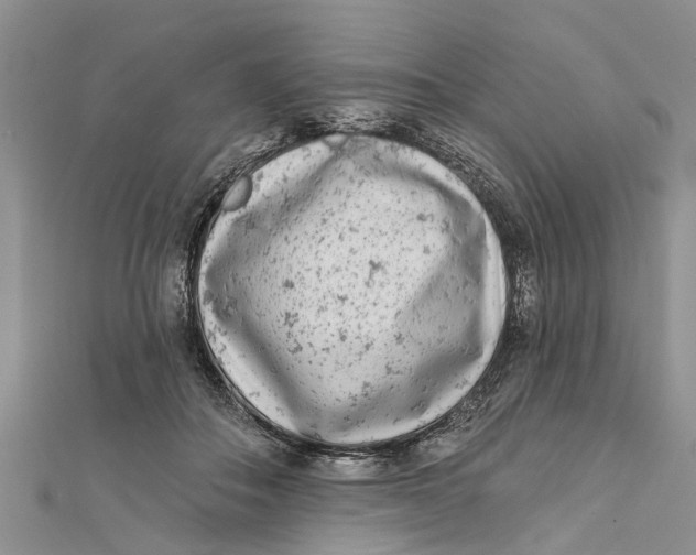 X0000112180506200908281405