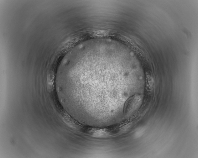 X0000112180507200908281405