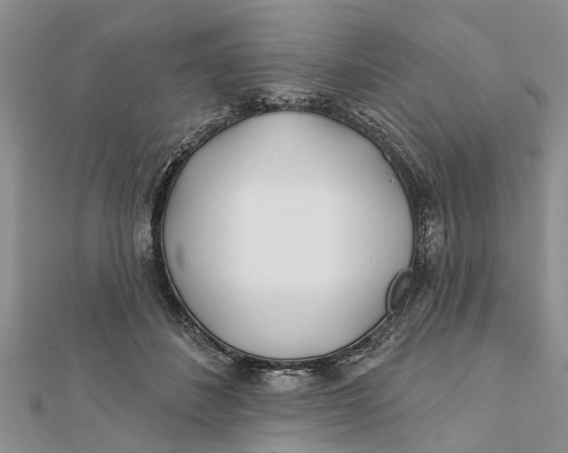 X0000112180508200908281405