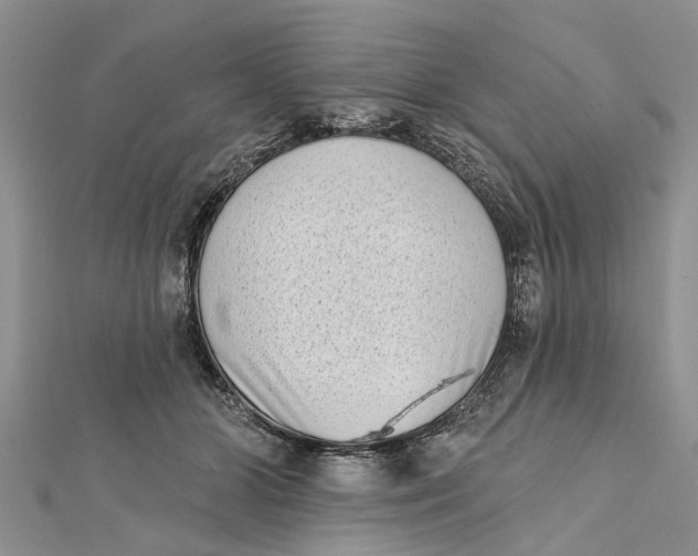 X0000112180510200908281405