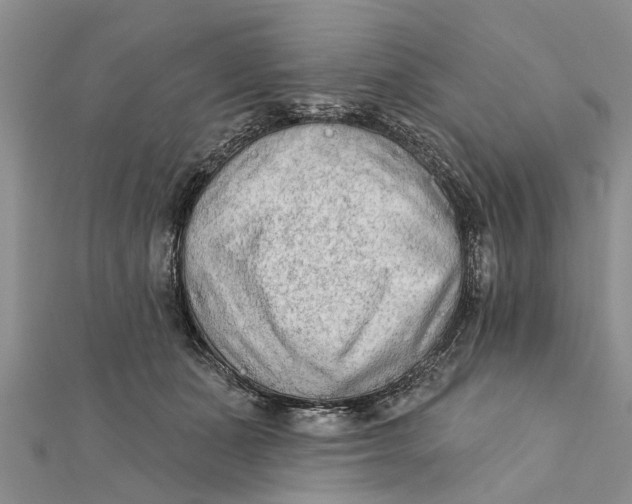 X0000112180511200908281405