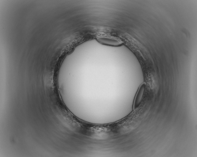 X0000112180512200908281405