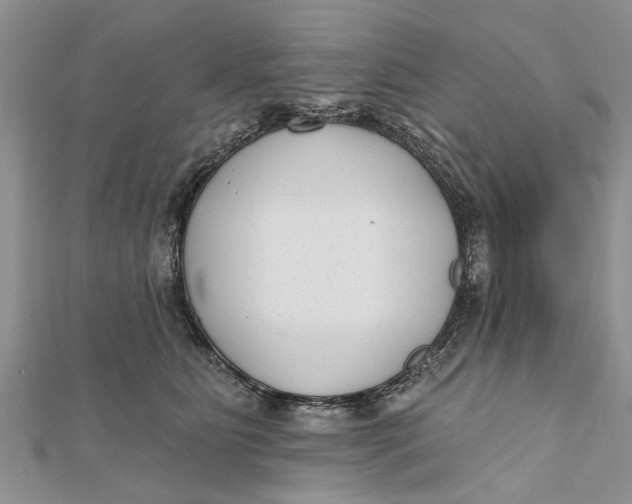 X0000112180515200908281404