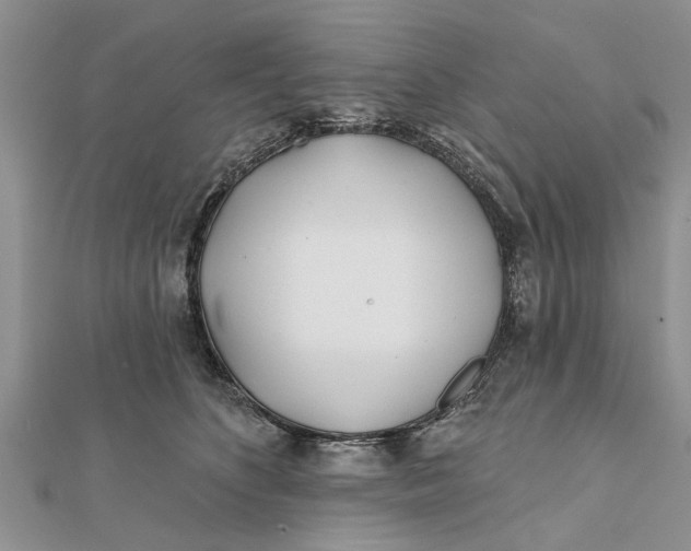 X0000112180516200908281404