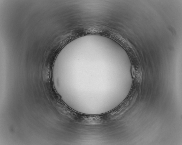 X0000112180517200908281404