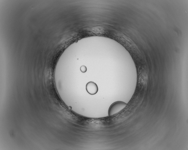 X0000112180518200908281404