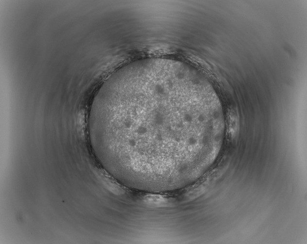 X0000112180519200908281404