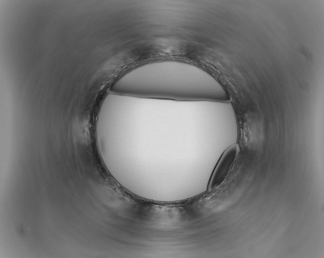 X0000112180520200908281404