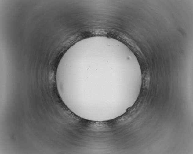 X0000112180521200908281404