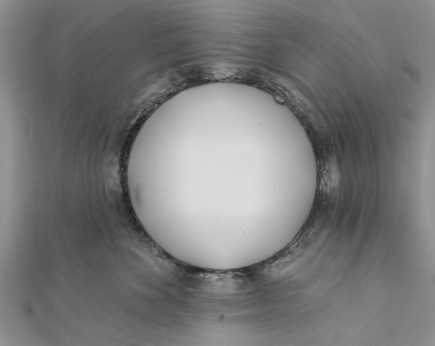 X0000112180524200908281404