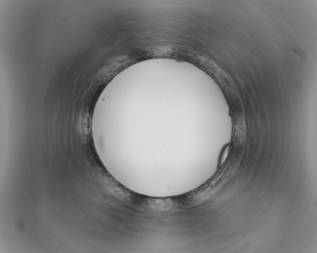 X0000112180525200908281404