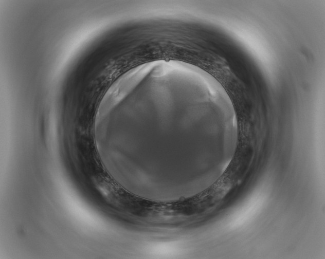 X0000112180526200908281404