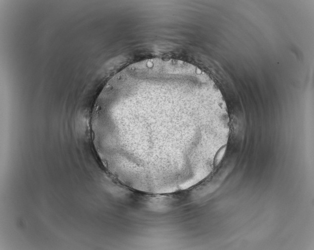 X0000112180527200908281404