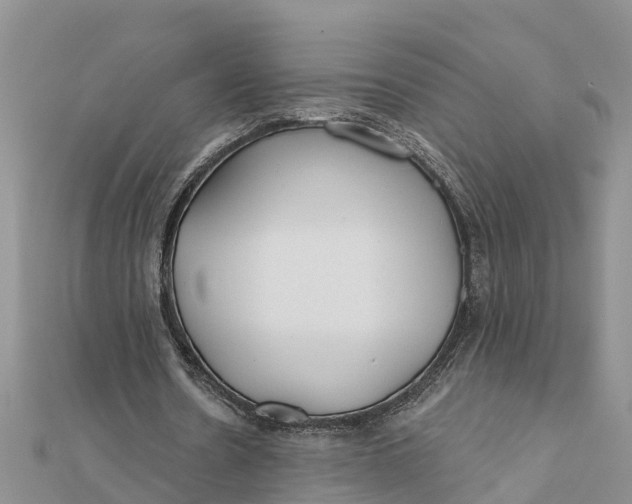 X0000112180530200908281404