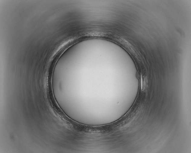 X0000112180531200908281404