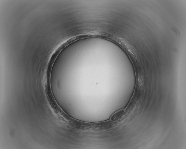 X0000112180532200908281404