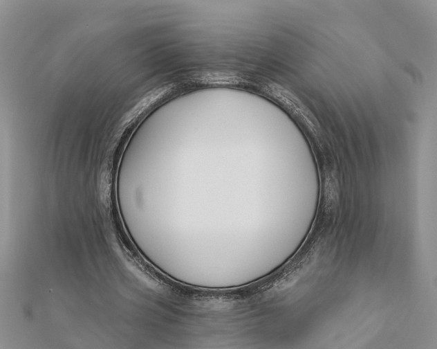 X0000112180533200908281404