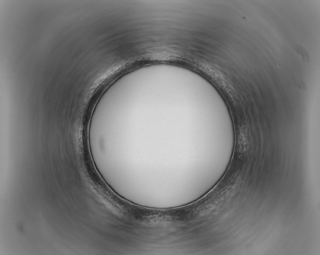 X0000112180535200908281404