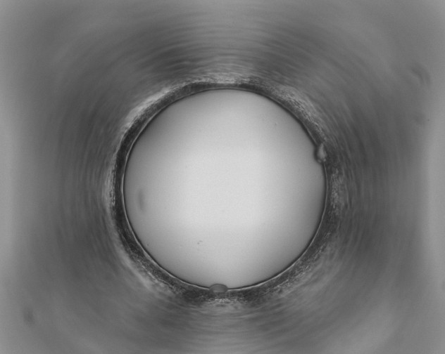 X0000112180536200908281404