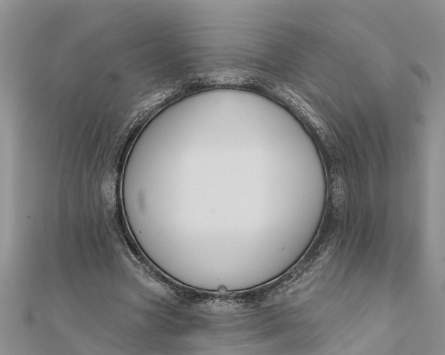 X0000112180537200908281404