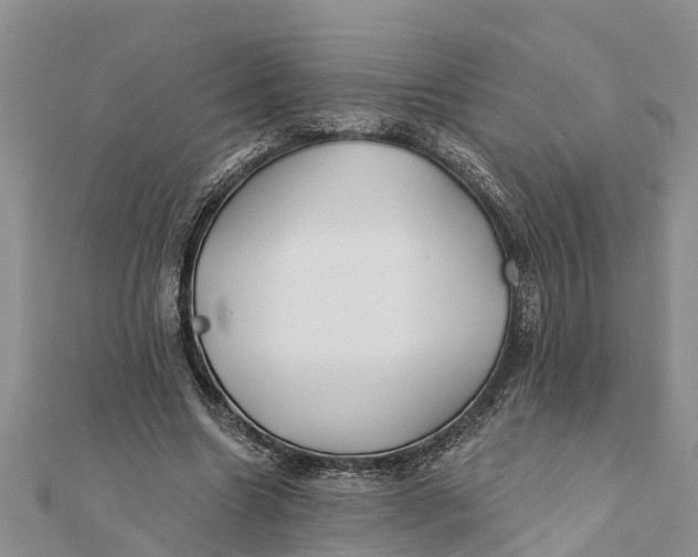 X0000112180538200908281404