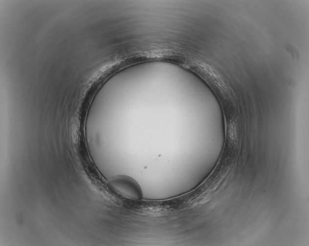 X0000112180540200908281404