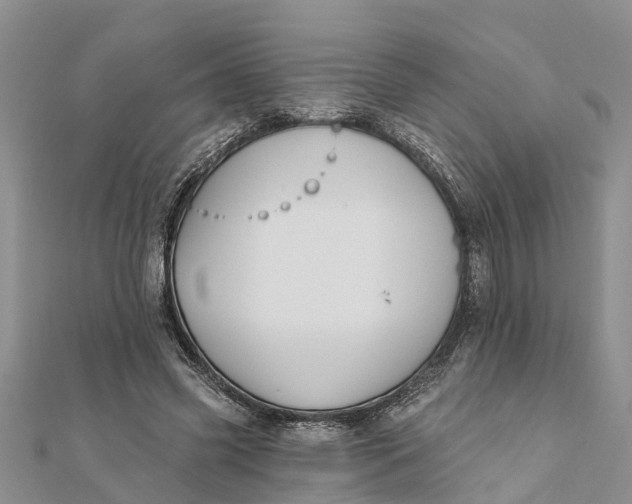 X0000112180541200908281404