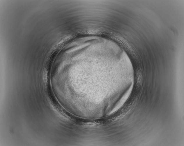 X0000112180542200908281404