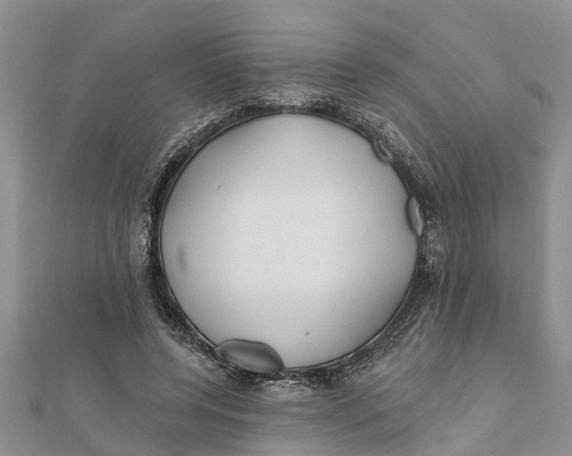 X0000112180544200908281404