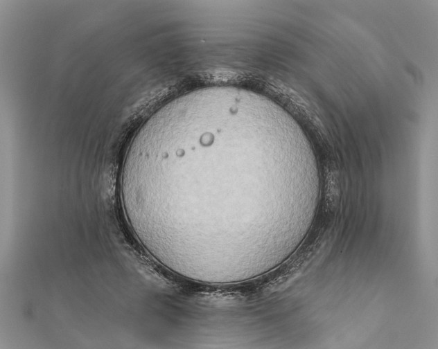 X0000112180545200908281404