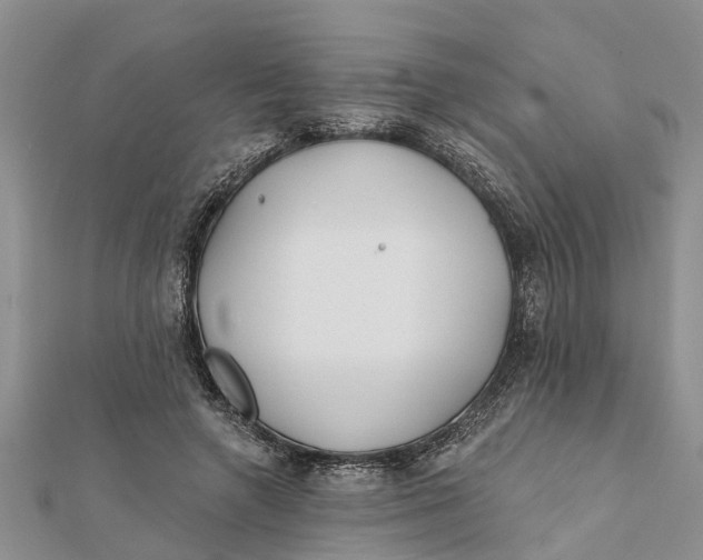 X0000112180546200908281404