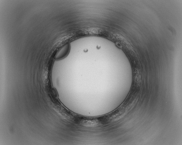 X0000112180548200908281404