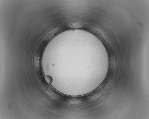 X0000112180549200908281404