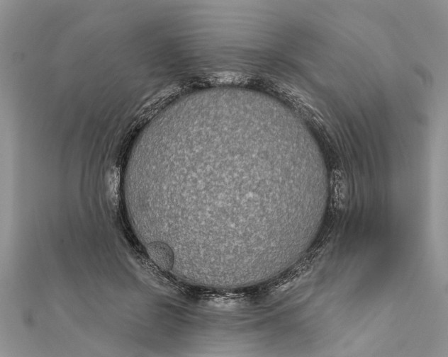 X0000112180550200908281404