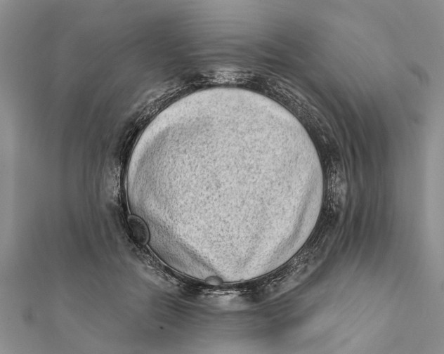 X0000112180554200908281404