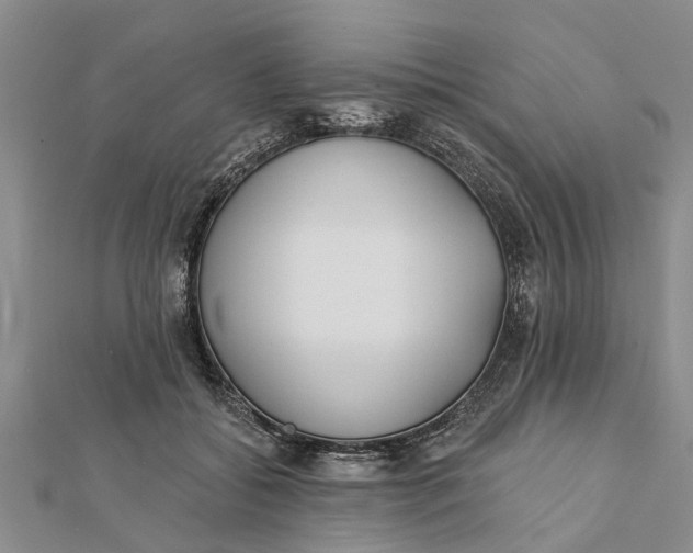 X0000112180556200908281404