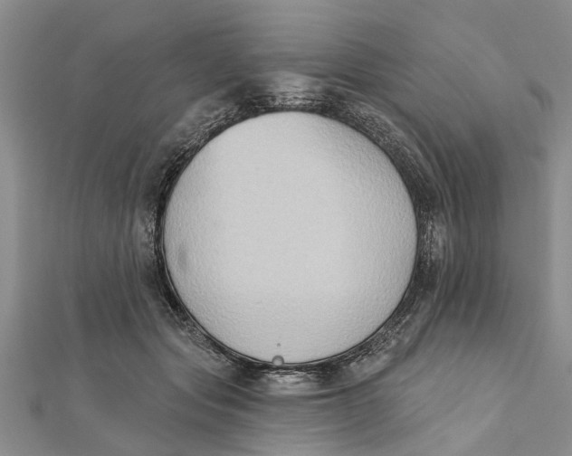 X0000112180557200908281404