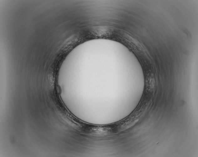 X0000112180558200908281404