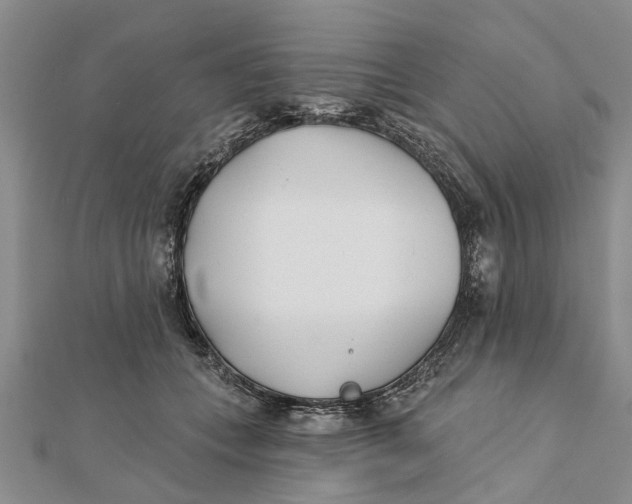 X0000112180559200908281404