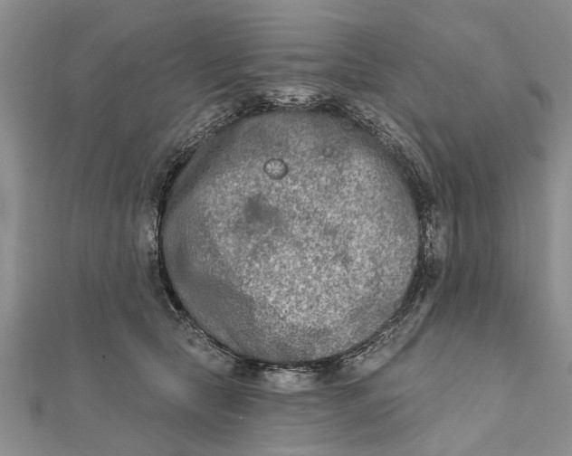 X0000112180561200908281404