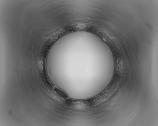 X0000112180562200908281404