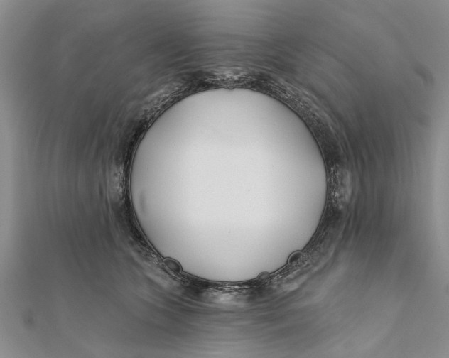 X0000112180563200908281404