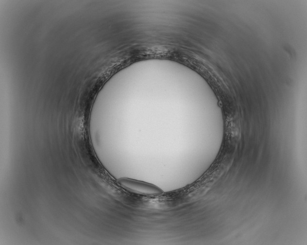 X0000112180564200908281404