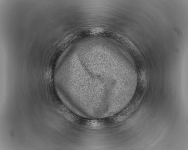 X0000112180565200908281404