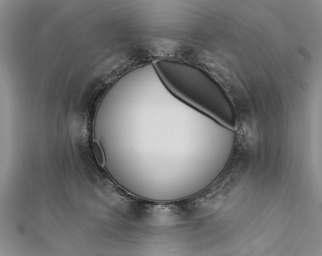 X0000112180566200908281404