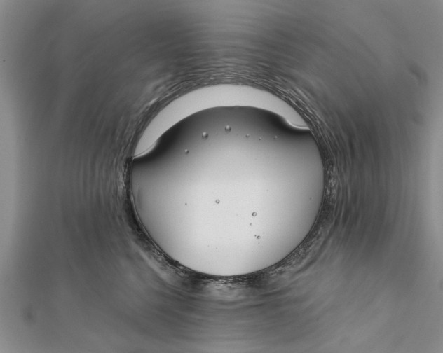 X0000112180568200908281404