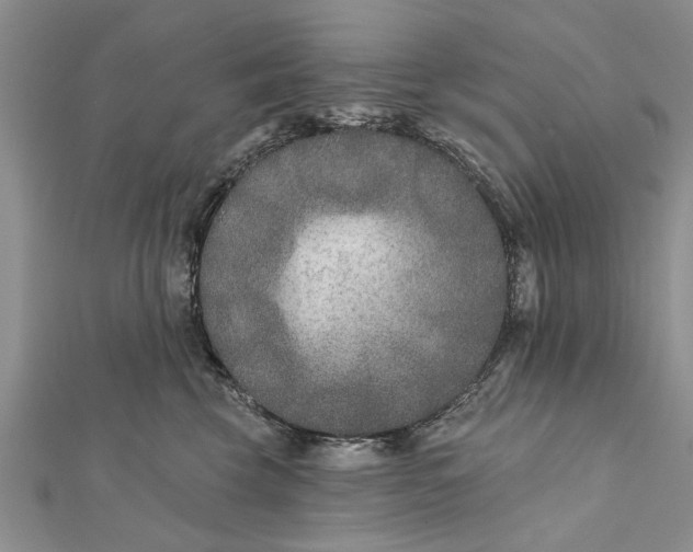 X0000112180569200908281404