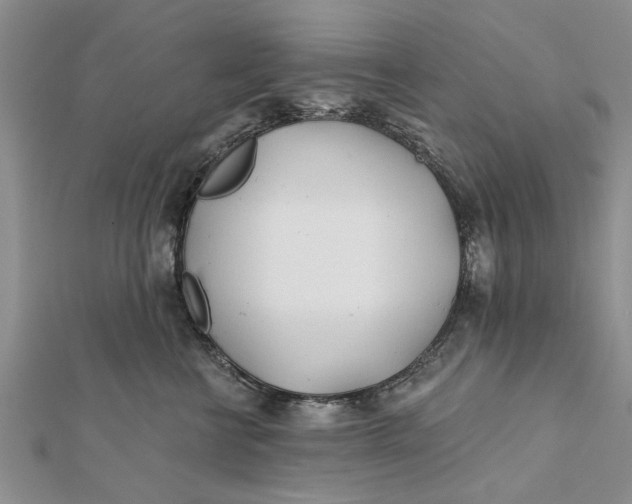 X0000112180570200908281404