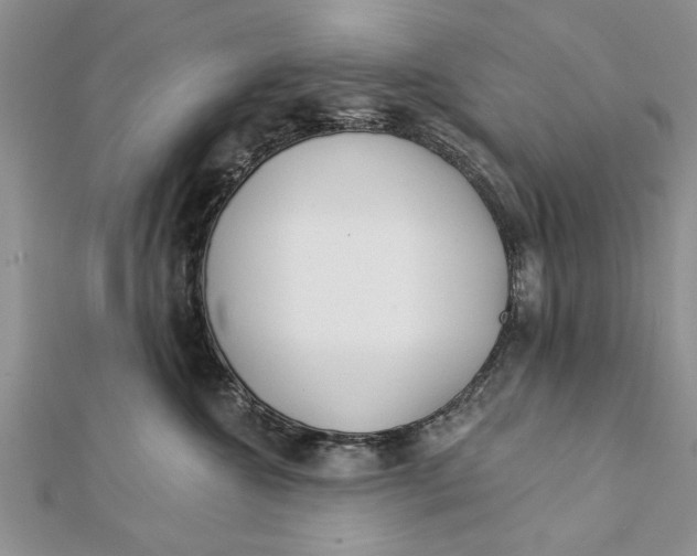 X0000112180572200908281404