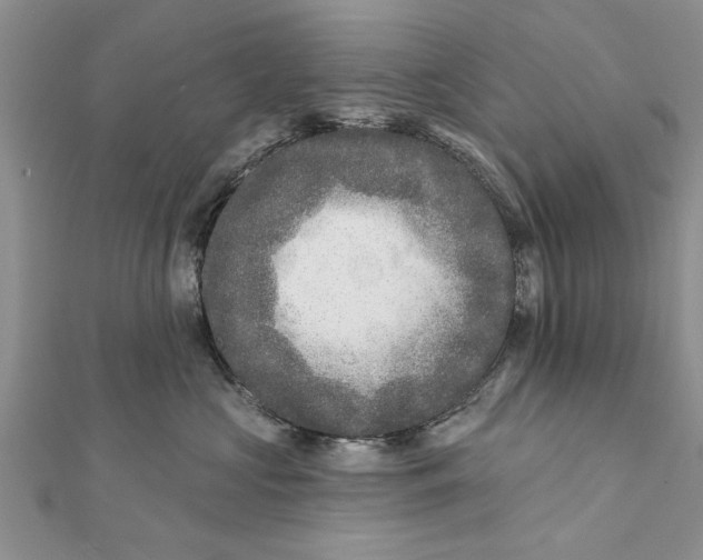 X0000112180573200908281404